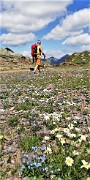 87 Tappeto di fiori sul Monte Aviasco